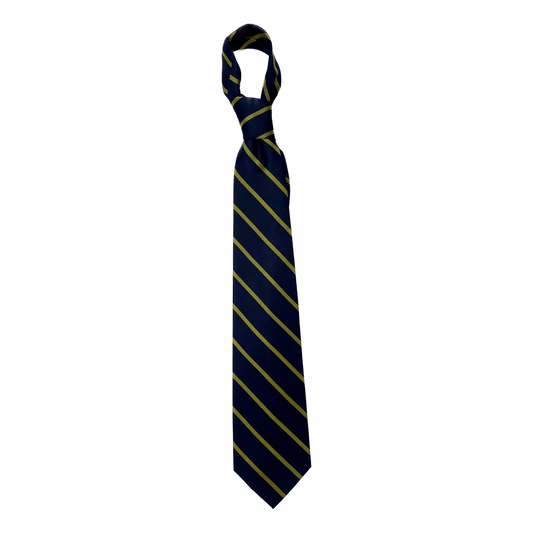 Tie PC Striped Blue/Gold