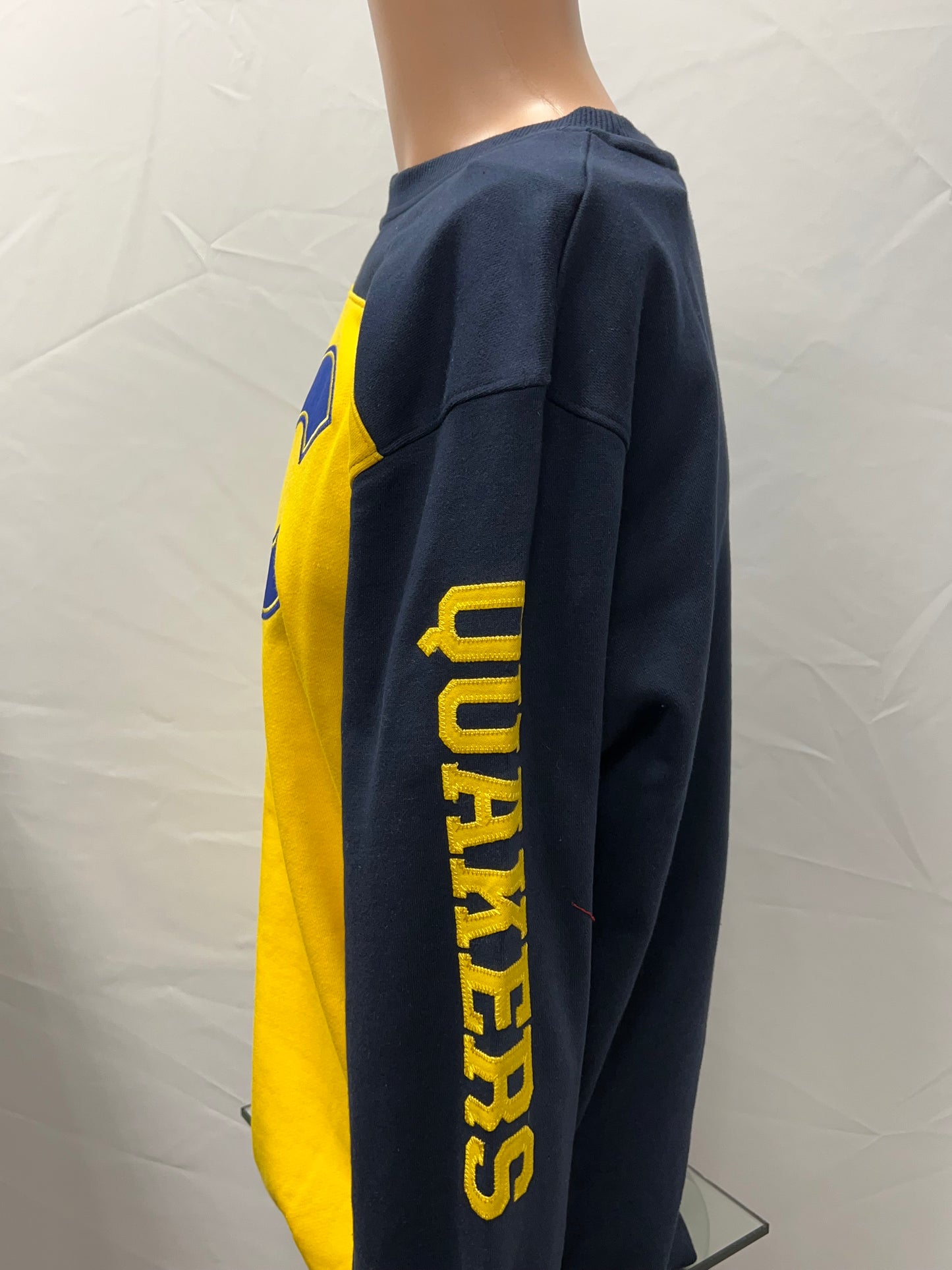 Champion Super Fan Yoke Crewneck Sweatshirt