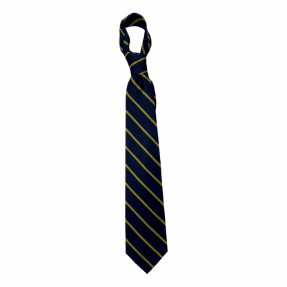 Tie PC Striped Blue/Gold
