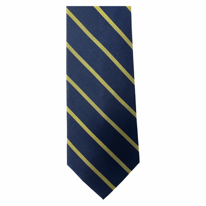 Tie PC Striped Blue/Gold